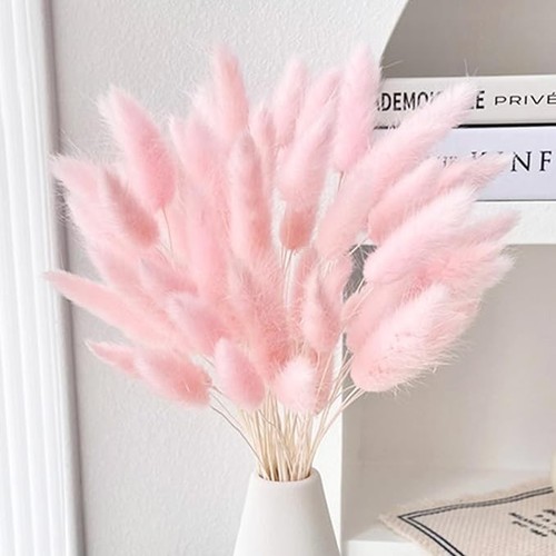 Bunny tails dried flowers - bunny,