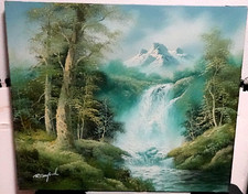 R. DANFORD SNOW MOUNTAIN RIVER