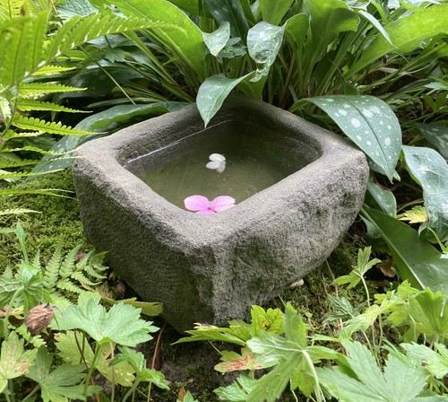 Stone garden small - stone,