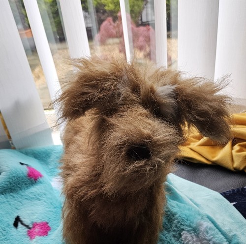 Jellycat scruffles rescue dog - jellycat,