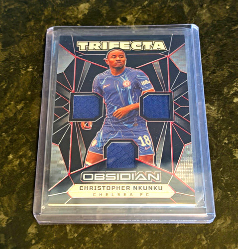 Panini obsidian 2024 - panini,