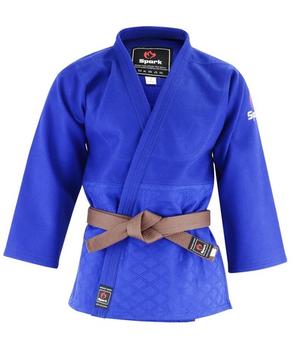 Judo for professionals - judo,