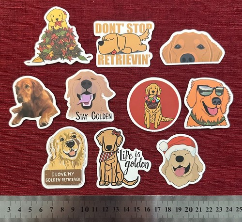Golden retriever dog - 10,