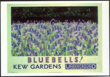 Modern Postcard: See the