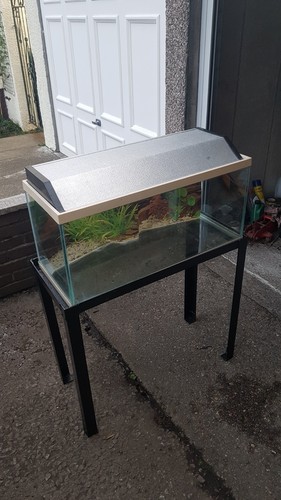 Glass rectangular - glass, (standard)