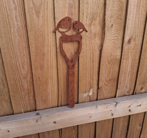 Birds perched shovel - birds,