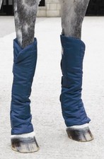 Shires Travel Sure Economy