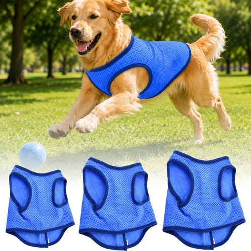 Summer dog cooling vest - summer,