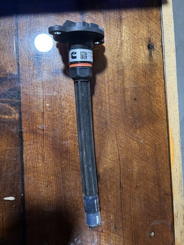 5581560 cummins ignition - 5581560,