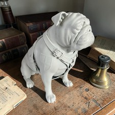 British Bull Dog With