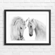 Graceful white horses - graceful,