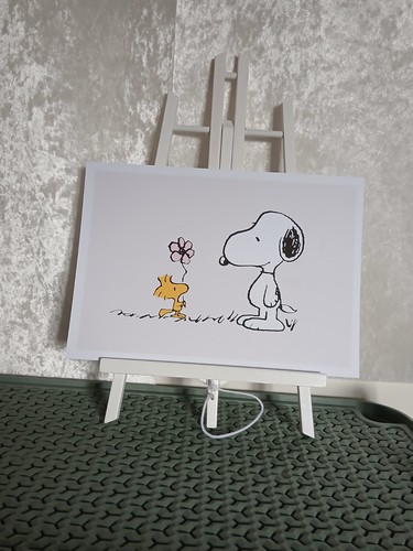 Snoopy wall art - snoopy,