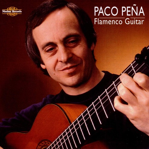 Flamenco guitar - flamenco,