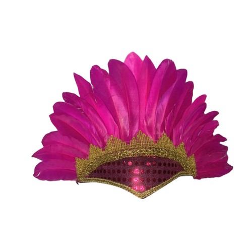 Feather headdress costume - feather,