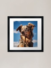 Australian Shepherd Dog