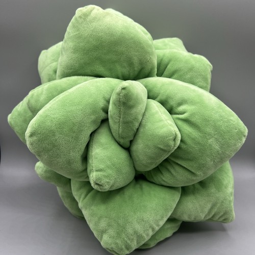 Green philosophy succulent - philosophy, co