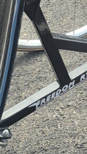 Freedom recumbent tricycle - freedom,