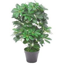 Artificial Schefflera