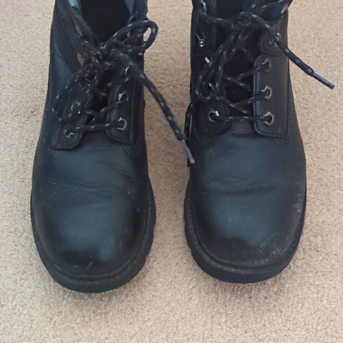 Caterpillar cat black lace - caterpillar, lace-up