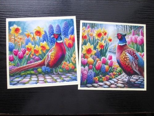 Set 2 x colourful - ,