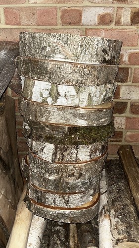 Silver birch round slices disc - round,