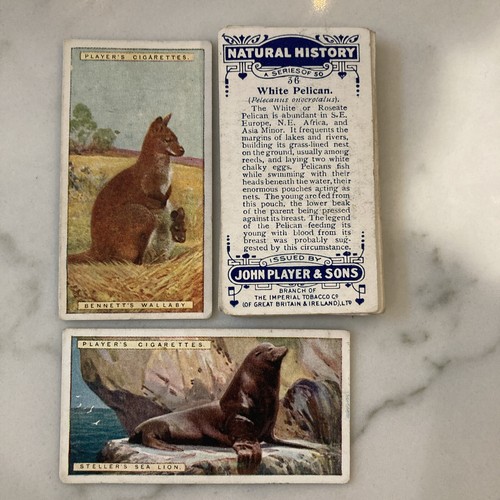 1924 player natural history - natural,