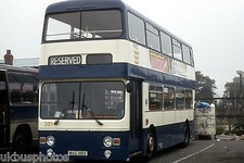 Kingston Upon Hull City