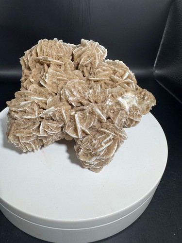 Desert rose selenite cluster - desert,