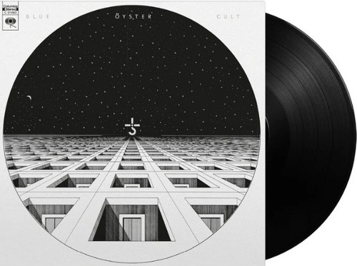 Blue oyster - blue, cult