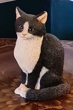 Sherratt & Simpson 55545 Cat