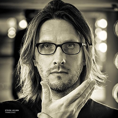 Steven wilson transience - steven,