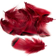 Flytying Scotland French