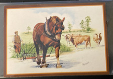 Horse (Suffolk Punch ?)