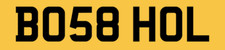 Holly hol number - hol,