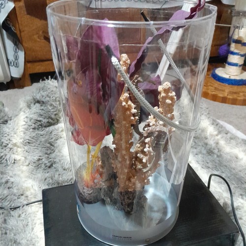 Biorb seahorses coral - seahorses,