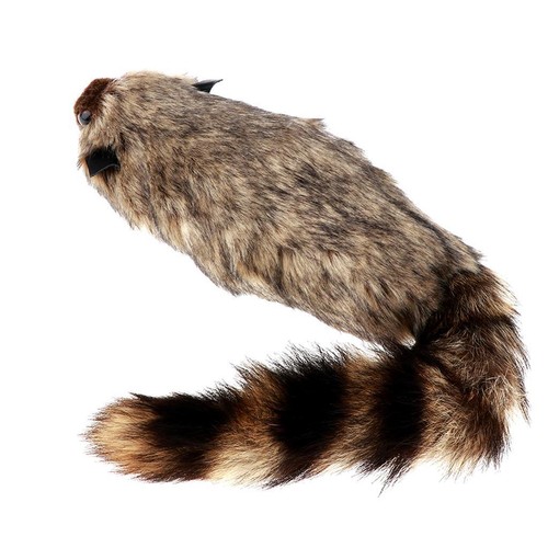Raccoon trick stage - trick, props