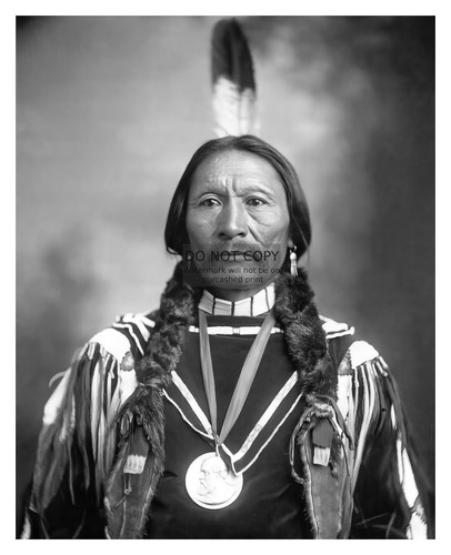 Chief buckskin charley - chief,