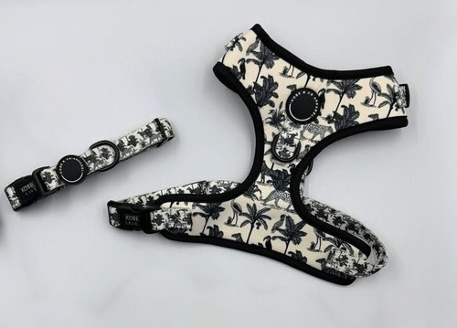 Dog harness and collar - dog, set