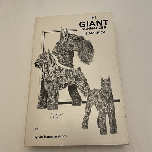 The giant schnauzer america - the,