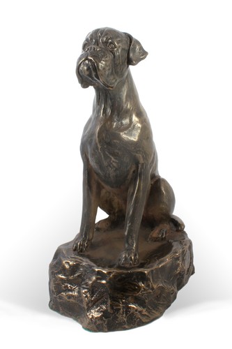 Boxer dog bust - dog, bust/statue