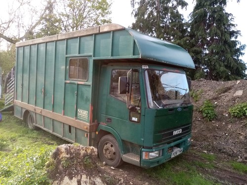 Iveco horsebox lorry - iveco,