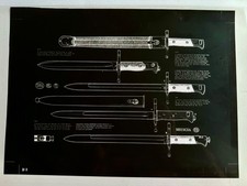Original Illustrations Of