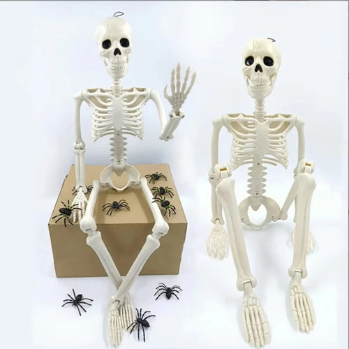 Poseable skeleton full - poseable, size