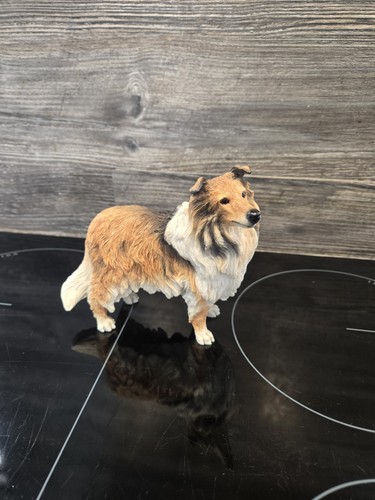 Leonardo rough collie - rough,
