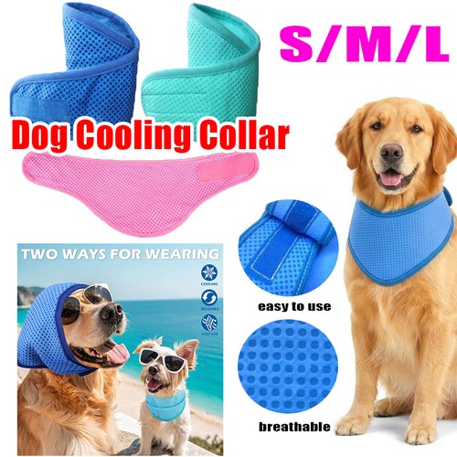 Dog cat puppy cooling bandana - dog,