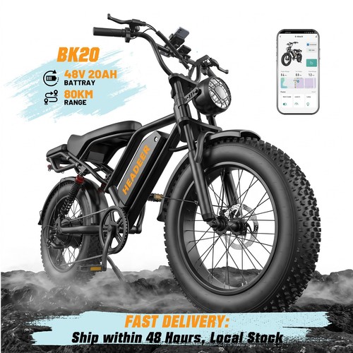 Electric bike for adults fat - bike,