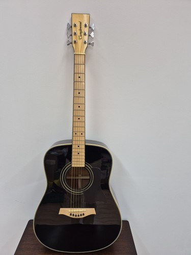 Tanglewood seagull bk - tw,