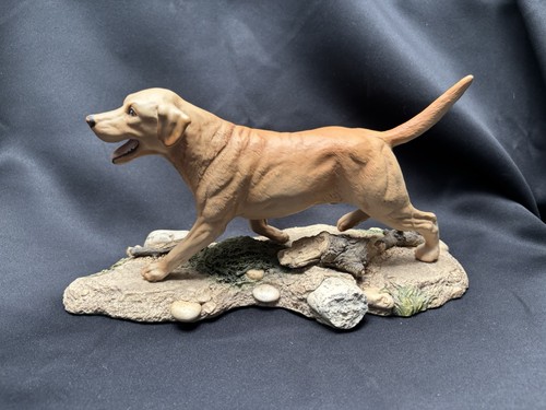 Golden labrador dog - labrador,