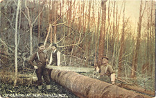 Lumbering At Northville, Two-Man Saw, New York NY