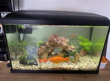 Love Fish 56 Litre Fish Tank And Filter + Full Pack Of New Cartridges